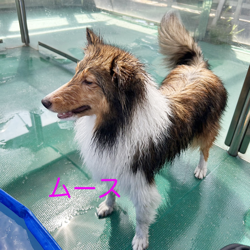 生徒が撮影してくれた写真☆